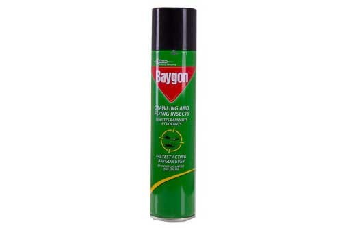 Baygon Insecticide - 300ml