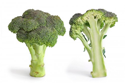 Brocolli - 1 Bunch About 0.38kg