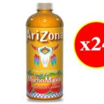 Arizona Drink 20 FL Oz – Carton (x24)
