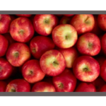 Big Red Apples, Slate – 25 pcs