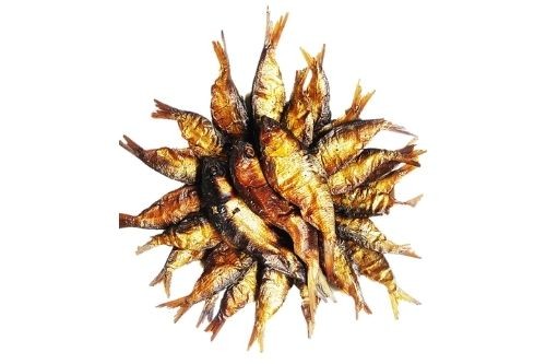 Bonga Fish, Owo Medium Size – 50 pcs