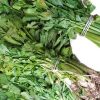 Celery – 1 Bunch (Local market)