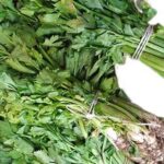 Celery – 1 Bunch (Local market)