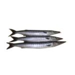 Chi Baracuda Fish 1kg
