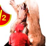 Cow Meat Shared – Half of Small Cow