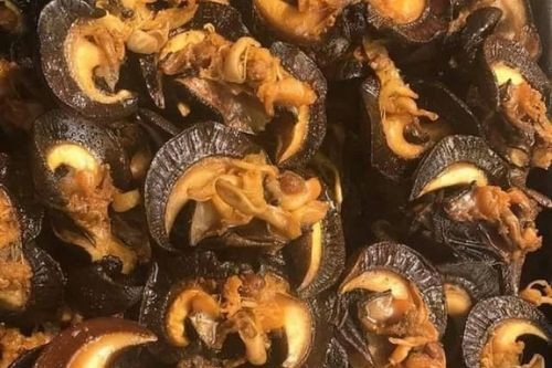 Dried Snails (Jumbo) – 20 Pcs