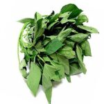 Fresh Bitter Leaf-1 Bunch (Local Market)