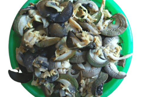 Fresh Large Snails (Deshelled) – 20 Pcs