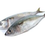 Frozen Kote Fish – 1kg Local Market