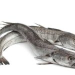 Frozen Panla / Hake Fish- 2pcs, About 1kg (Local Market)