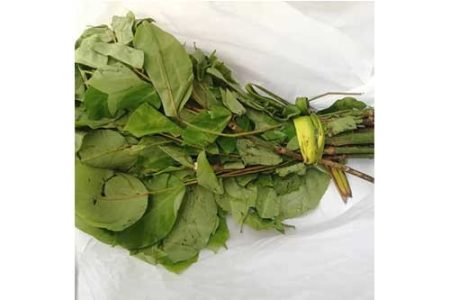 Oha Leaves- "6 Bunches " (Local Market)
