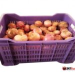 Onion ‘Dry’ Medium Basket