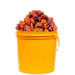 Palm Kernel Fruits (Banga)- 1 Paint, About 3.8kg (Local market)