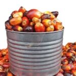 Palm Kernel Fruits (Banga)- 1/2 Paint, About 1.9kg (Local market)