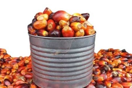 Palm Kernel Fruits (Banga)- 1/2 Paint, About 1.9kg (Local market)