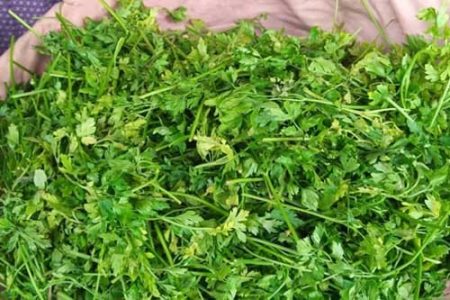 Parsley bunch (Local market)
