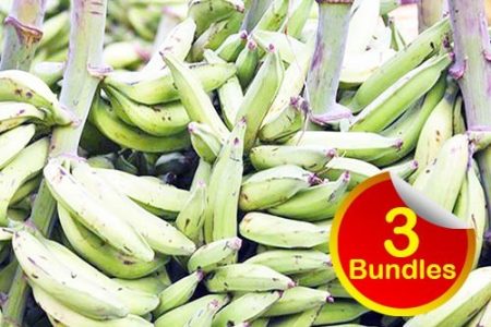 Plantain Bundle Big Seed (1 Bundles, 20-25 Seeds) - Next Day Delivery