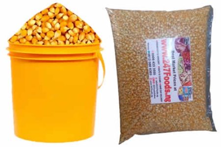 Popcorn Seeds - 1 Paint
