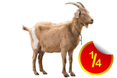 Quarter Goat - Full back lap with Intestine(Local Market)