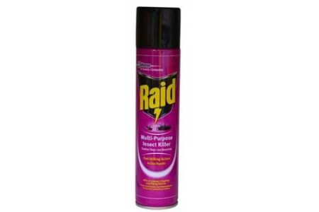 Raid Multi-purpose Insect Killer- 300ml