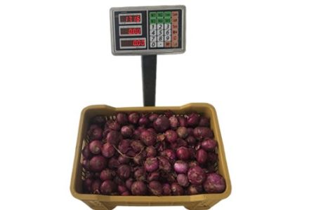 Red Onions - 1 full crate