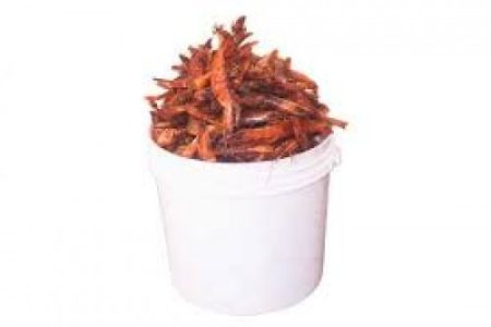 Red Prawns - 1 Derica (Local Market)
