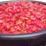 Rodo Medium Basket