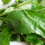 Scent Leaves / Efirin- 5 Bunches (Local Market)
