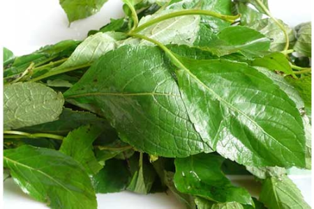 Scent Leaves / Efirin- 5 Bunches (Local Market)