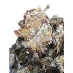 Stockfish / Okporoko, Medium Ear (Local market)