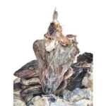 Stockfish / Okporoko medium Head (Local market)