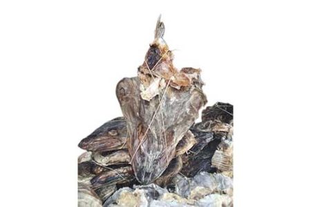 Stockfish / Okporoko medium Head (Local market)