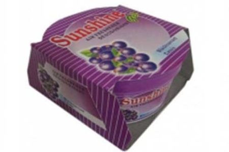 Sunshine Block Air Freshener (Blackcurrant)
