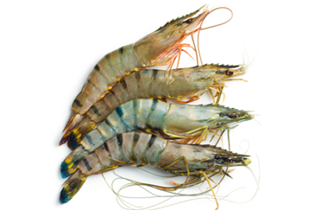 Tiger Prawns - About 1kg, deshelled, deveined (Local market)