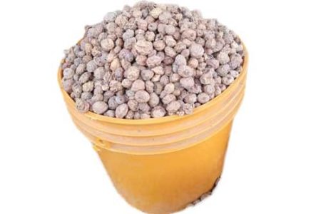 Tigernut - 1 Paint, About 3kg (local market)