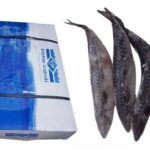 Titus Fish- carton – 20kg (Local Market)