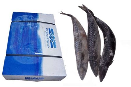 Titus Fish- carton - 20kg (Local Market)