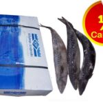 Titus Fish – half of Carton (Local Market) – 10kg