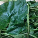 Utazi- 1 Bunch (Local Market)