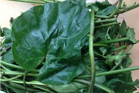 Utazi- 1 Bunch (Local Market)