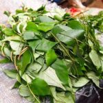 Uziza Leaves- 1 Bunch (Local Market)