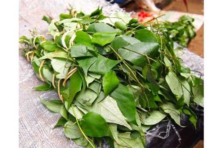 Uziza Leaves- 1 Bunch (Local Market)