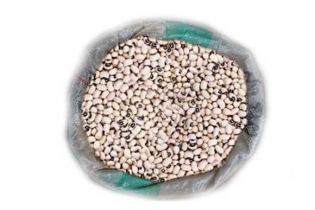 White Beans (Cleaned) - 32 Paints (Full Bag)