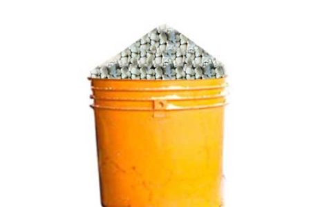 White Corn Seed- 1 Paint, About 3.8kg ( Local market)