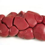 Whole Cow Kidney (Local Market)