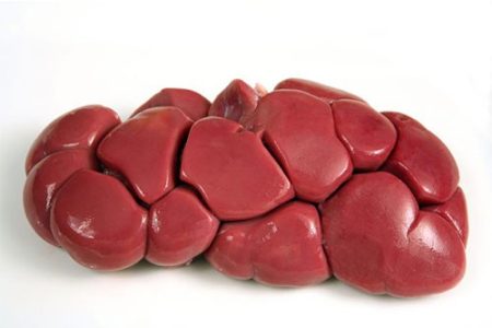 Whole Cow Kidney (Local Market)