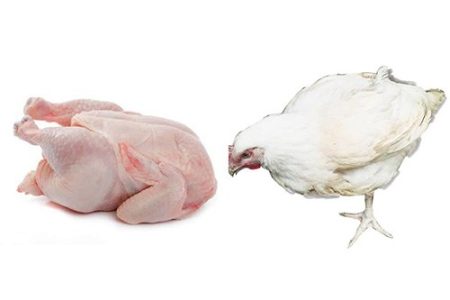 Whole Live Chicken Broiler - Butchered (About 2.1kg - Local Market)