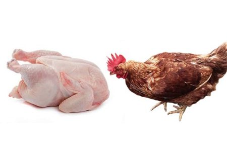 Whole Spent Live Layers, Butchered (About 1.2kg - Local Market)