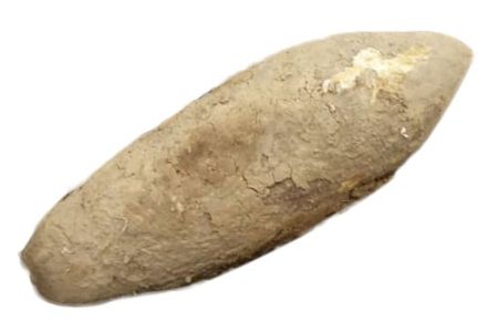 Yam ""Ada Onitsha""- 2 Medium Tubers ( Local Market)