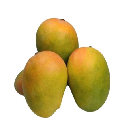 Mangoes, medium basket(about 30-35pcs)